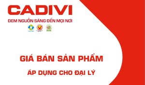 So Sánh Dây Điện Cadivi 2.5 Với Các Thương Hiệu Khác: Đánh Giá Ưu Nhược Điểm