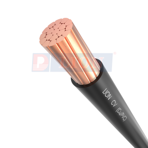 Cáp vặn xoắn hạ thế DuCV 2x10mm² Lion 0.6/1kV