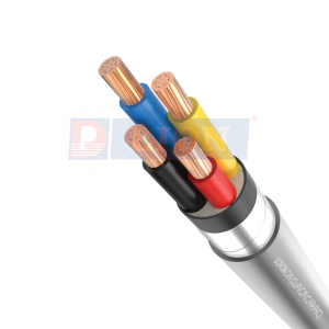 Cáp điện kế DK-CVV 2x10mm² Lion 0.6/1kV