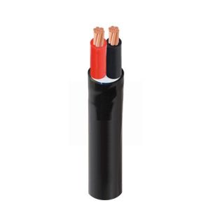 CVV-2x10 - 300/500V