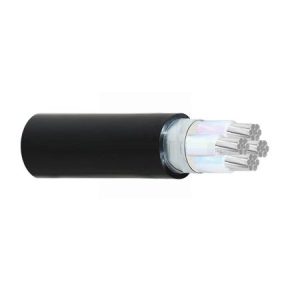 AXV-10 - 0,6/1kV