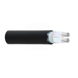 AXV/DSTA-2x25 - 0,6/1kV
