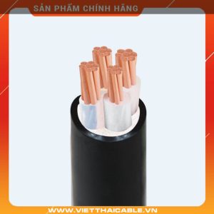 CXH/WBC-300 - 12