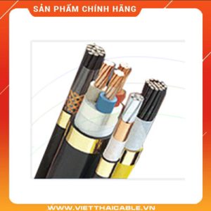 DVV/Sc-37x2